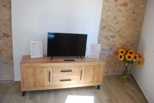 TV en un armario de madera con un jarrón de flores en Casa Rural Carmen Atzeneta en Adzaneta