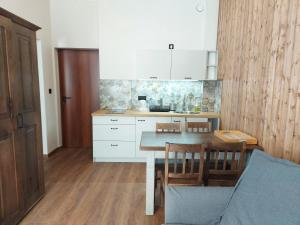 Kuchyň nebo kuchyňský kout v ubytování 4 STRONY ŚWIATA Pokoje i Apartamenty