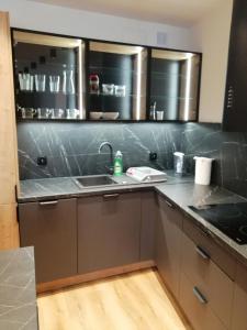 uma cozinha com armários de aço inoxidável e um lavatório em Apartament River House em Szczecin