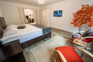a bedroom with a bed and a tree and chairs at Old Town Suites Brașov in Braşov