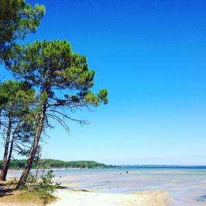 a view of a beach with trees on it at copinsdeslandes mobil home in Gastes