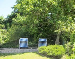 ビンツにあるFerienhaus am Schmachter Seeの庭の木の下に座る白い椅子2脚