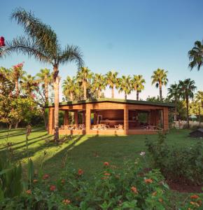 En have udenfor Royal Atlantis Beach