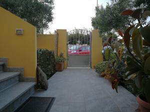 A garden outside Domus Deiana