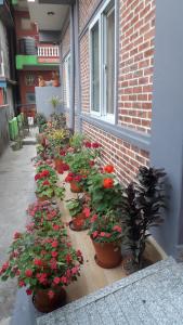 Gambar di galeri bagi Beli Guest House di Pokhara