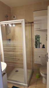 La salle de bains est pourvue d'une douche et de toilettes. dans l'établissement LES EMBRUNS - SPACIEUX APPARTEMENT AVEC PISCINE, à Saint-Cyprien
