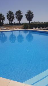 une grande piscine bleue avec des chaises et des palmiers dans l'établissement LES EMBRUNS - SPACIEUX APPARTEMENT AVEC PISCINE, à Saint-Cyprien