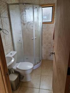 a bathroom with a shower and a toilet and a sink at Cabaña Nothofagus PUQ in Punta Arenas