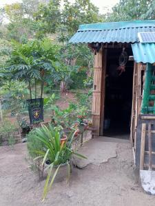 アンティポロにあるKambal Kubo Resthouse at Sitio Singalong Bgy San Jose Antipoloの植物の前の小さな建物の入口