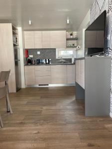 Kuchyň nebo kuchyňský kout v ubytování Mobile Home Jana