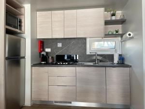 Kuchyň nebo kuchyňský kout v ubytování Mobile Home Jana