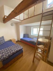a bedroom with a bunk bed and a ladder at Pension Hejnice in Hejnice