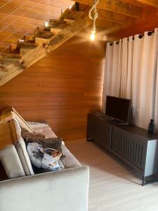 uma sala de estar com um sofá e uma televisão em Chalé Guest House em Urubici