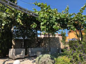 Zahrada ubytování Casa Stefanie