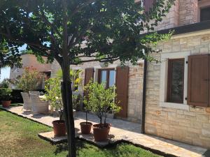 Zahrada ubytování Casa Stefanie