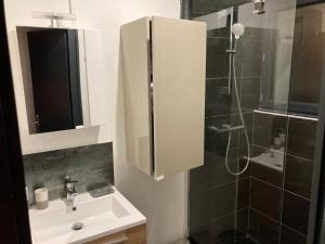 a bathroom with a sink and a shower at Maison de charme in Pessac +21 photos