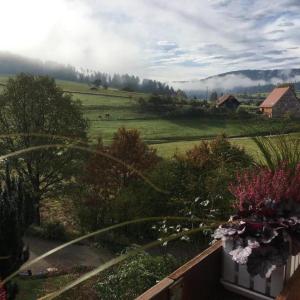 Blick auf ein Feld mit Bäumen und ein Haus in der Unterkunft SchwarzWild - Ferienwohnung und Ferienzimmer in Baiersbronn