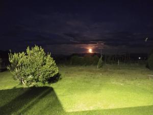 Fotografie z fotogalerie ubytování Cabaña Fer v destinaci Los Cipreses + 29 fotografií