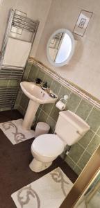 uma casa de banho com um WC, um lavatório e um espelho. em ST ANNES PROFESSIONAL LET - BLACKPOOL em Blackpool