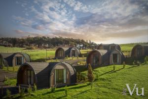 un gruppo di cottage su un campo verde di The Vu Snugs a Bathgate