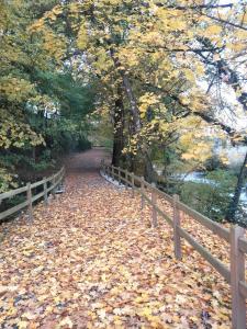 un chemin couvert de feuilles à côté d'une clôture dans l'établissement Le Moulin De Bretigneul, à Saint-Aubin-des-Landes