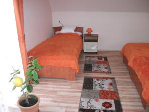 1 dormitorio con 2 camas y 2 alfombras en Jóbor Vendégház, en Győrújbarát