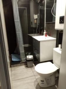un baño con inodoro y lavabo en Studio les mélèzes vue montagne Barcelonnette, en Barcelonnette