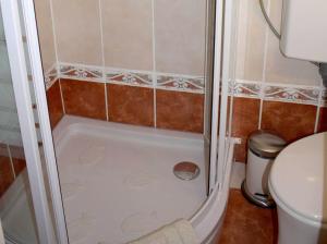 a shower in a bathroom with a toilet at Apartment Süd in Sankt Pölten