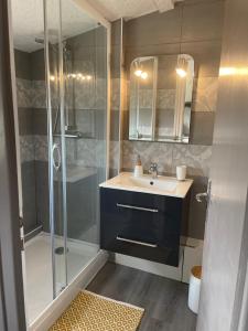 a bathroom with a shower and a sink and a toilet at Joli T1 3* rénové mars 2022 proche lac et ville in Aix-les-Bains