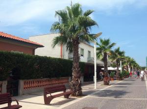 Fotografie z fotogalerie ubytování Hotel Aurora v destinaci Marina di Cecina