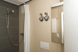 海德堡的住宿－海德堡客房公寓，带淋浴和浴帘的浴室