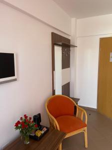 TV a/nebo společenská místnost v ubytování Ametist Casa Leului