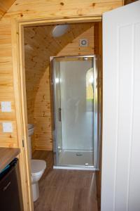 a bathroom with a shower and a toilet at Luxury Rural Ayrshire Glamping Pod in Dalmellington