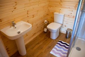 a bathroom with a white sink and a toilet at Luxury Rural Ayrshire Glamping Pod in Dalmellington +55 photos