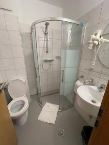 Koupelna v ubytování Ametist Casa Leului