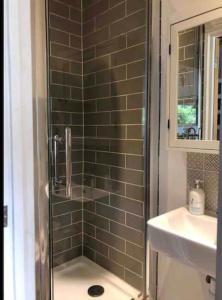 prysznic ze szklanymi drzwiami obok umywalki w obiekcie Unique wooden lodge with a view! w Londynie