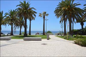 a park with palm trees and benches and the ocean at Beachfront T1 in Armação de Pêra