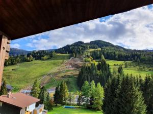 Príroda v okolí apartmánu