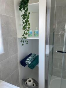 a bathroom with a shower and a toilet and a plant at 3 bedroom modern flat, sleeps 8, Mablethorpe, Linc in Mablethorpe