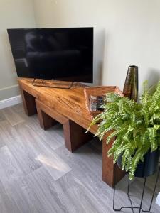 a television on a wooden table with a potted plant at 3 bedroom modern flat, sleeps 8, Mablethorpe, Linc in Mablethorpe