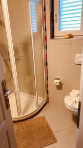 a bathroom with a shower and a toilet at Vila Bianca in Umag +19 photos