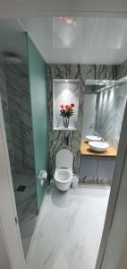 y baño con aseo, lavabo y ducha. en מלון כרמל/מגדל C en Netanya