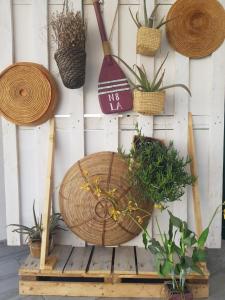 Fotografie z fotogalerie ubytování Nottola B&B v Ladispoli