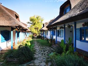 a cobblestone path between two houses with thatched roofs at 5 Chirpici - Small Traditional Resort in Murighiol