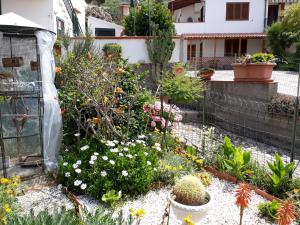 Zahrada ubytování Casa Armida Chiessi