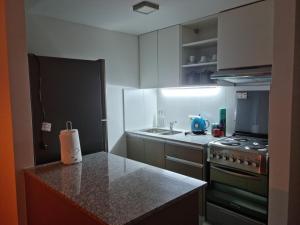 a small kitchen with a stove and a sink at Departamento Caleufu in Neuquén +7 photos