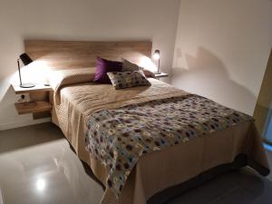 een slaapkamer met een groot bed met paarse kussens bij Departamento Caleufu in Neuquén