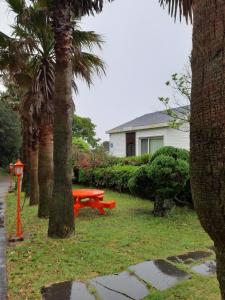 a picnic table in a yard with palm trees at RnB Town Pension in Seogwipo