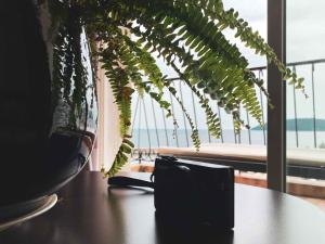 a vase sitting on a table next to a plant at Best Western Plus La Corniche in Toulon