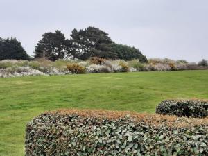 Maison avec vue sur mer dans Résidence Marie Galante外面的花园